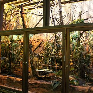 Aalborg Zoo - Tropical House (Emperor tamarin)