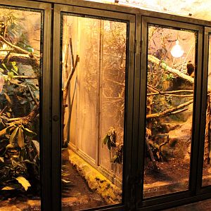 Aalborg Zoo - Tropical House (Terraria)