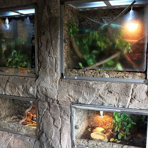 Aalborg Zoo - Tropical House (Terraria)