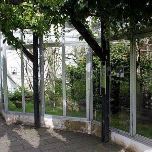 Aalborg Zoo - Tropical House (Primate exhibits)