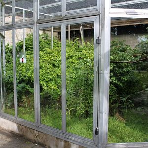 Aalborg Zoo - Tropical House (Emperor tamarin)