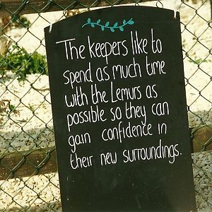 Information board 25th September 1999