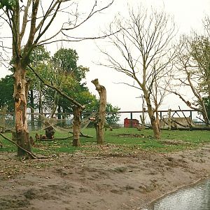 Baboon Island 23rd October 1999