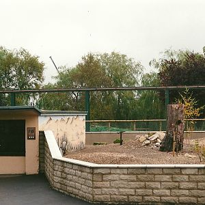 Meerkat exhibit 23rd October 1999