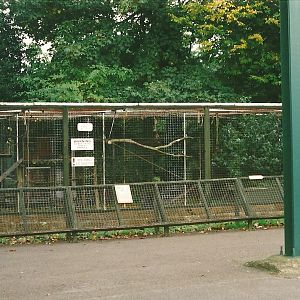 Former Leopard exhibit 23rd October 1999