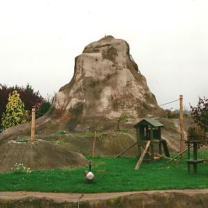 Lemur Island 23rd October 1999