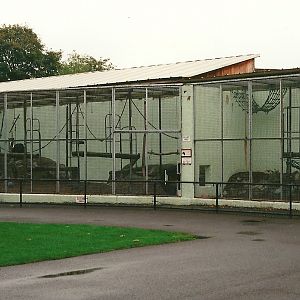 Primate cages 23rd October 1999