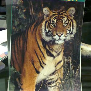 Archival guide to the zoo