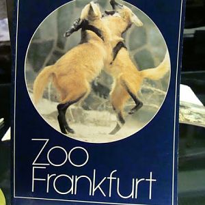 Archival guide to the zoo
