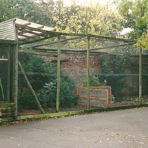 Last surviving 1960s walled garden aviary 23rd October 1999