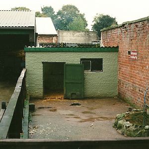 Where the Anteaters ambled 23rd October 1999