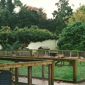 Farm pens - site of 1970s walk-through aviary 23rd October 1999