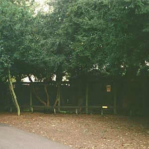 A gloomy shot of the Owl aviaries 23rd October 1999