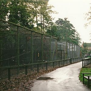 Bird Walk 23rd October 1999