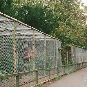 Bird Walk 23rd October 1999
