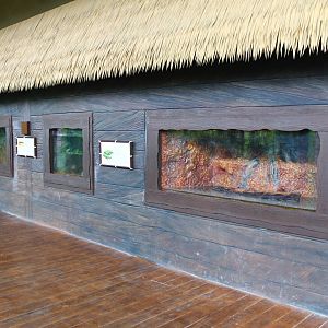 Mekong River - Small tank displays