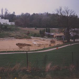 Windsor elephant enclosure c.1992