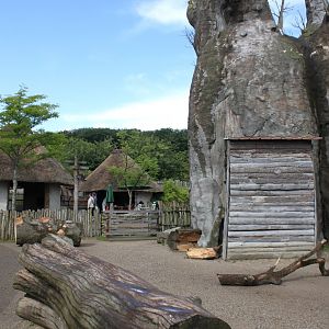 Aalborg Zoo - African Village (Goat)