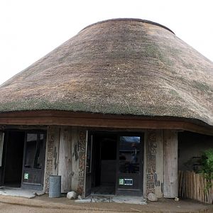 Aalborg Zoo - African Village (Savannah House)