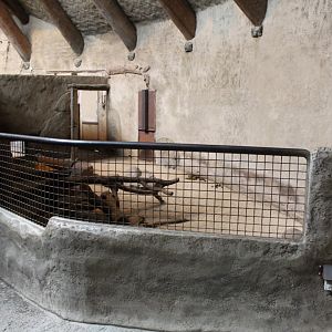 Aalborg Zoo - African Village (Savannah House)