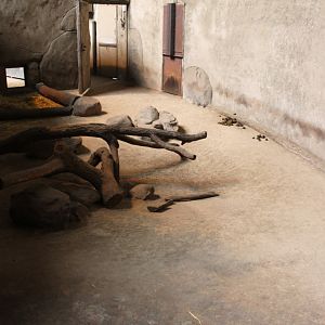 Aalborg Zoo - African Village (Savannah House)