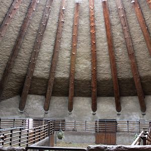 Aalborg Zoo - African Village (Savannah House)