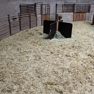 Aalborg Zoo - African Village (Savannah House)