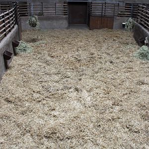 Aalborg Zoo - African Village (Savannah House)