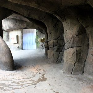 Aalborg Zoo - African Village (Tropical House)