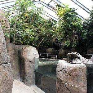 Aalborg Zoo - African Village (Tropical House)