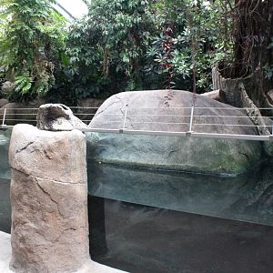 Aalborg Zoo - African Village (Tropical House)