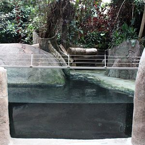 Aalborg Zoo - African Village (Tropical House)