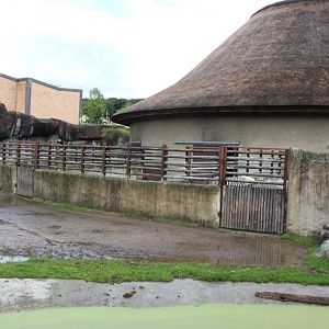Aalborg Zoo - African Village (Savannah House)
