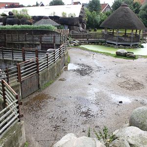 Aalborg Zoo - African Village (Savannah House)