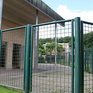 Aalborg Zoo - Giraffe House