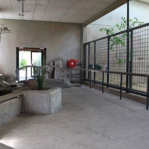 Aalborg Zoo - Giraffe House