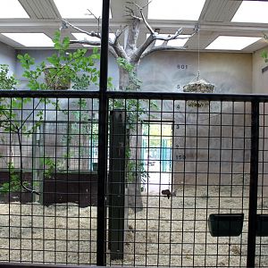 Aalborg Zoo - Giraffe House