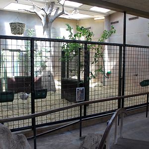 Aalborg Zoo - Giraffe House