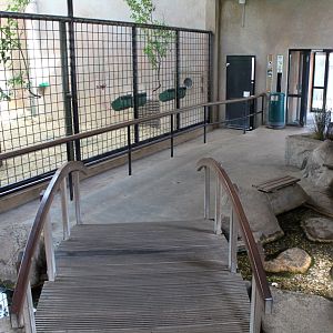 Aalborg Zoo - Giraffe House