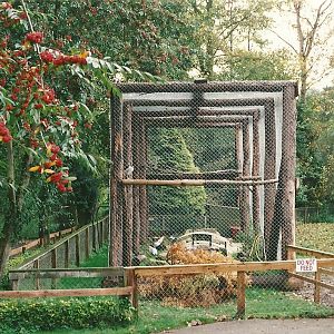 Aviary intended for wading birds 23rd October 1999