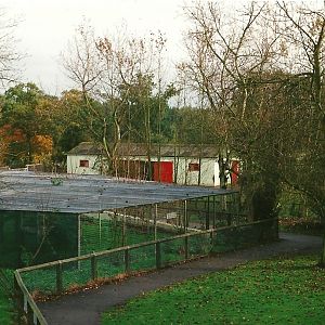 Former Hyaena cage 23rd October 1999