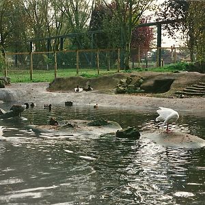 Former Penguin pool 23rd October 1999