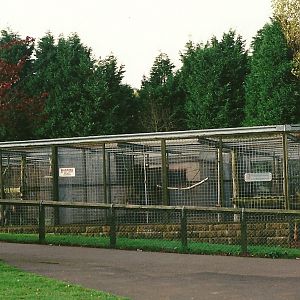 Primate block 23rd October 1999