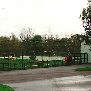 Lion and Tiger House and Lion enclosure 23rd October 1999