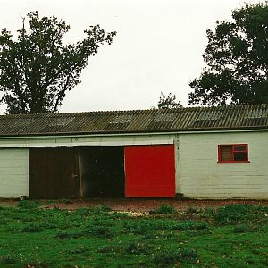 1960s Zebra House 23rd October 1999