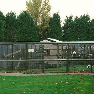 Primate block 23rd October 1999