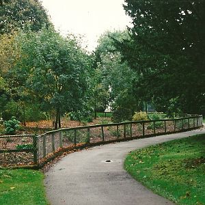 Where the Canids congregated 23rd October 1999