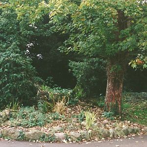 Site of Cat cages 23rd October 1999