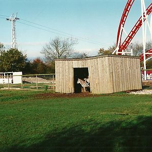 Sagging Zebra shelter? 6th November 1999