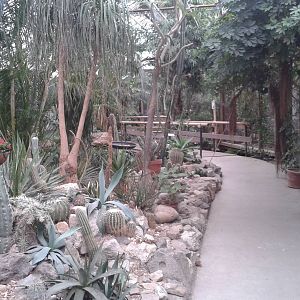 dry part of the butterfly-hall